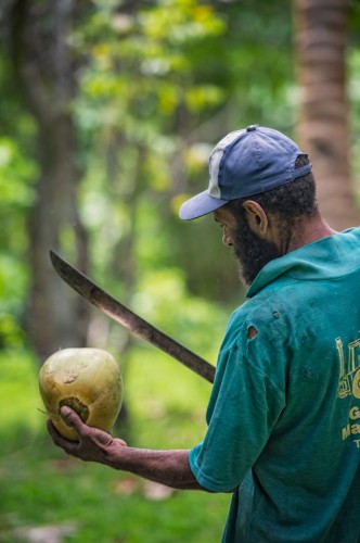 Opening a Coconut with Bush Knife